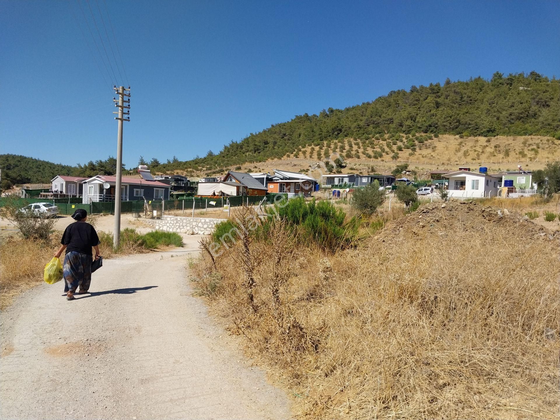 İzmir Menderes Çamönü 317mz Bahçe Zeytinlık - Görsel 10