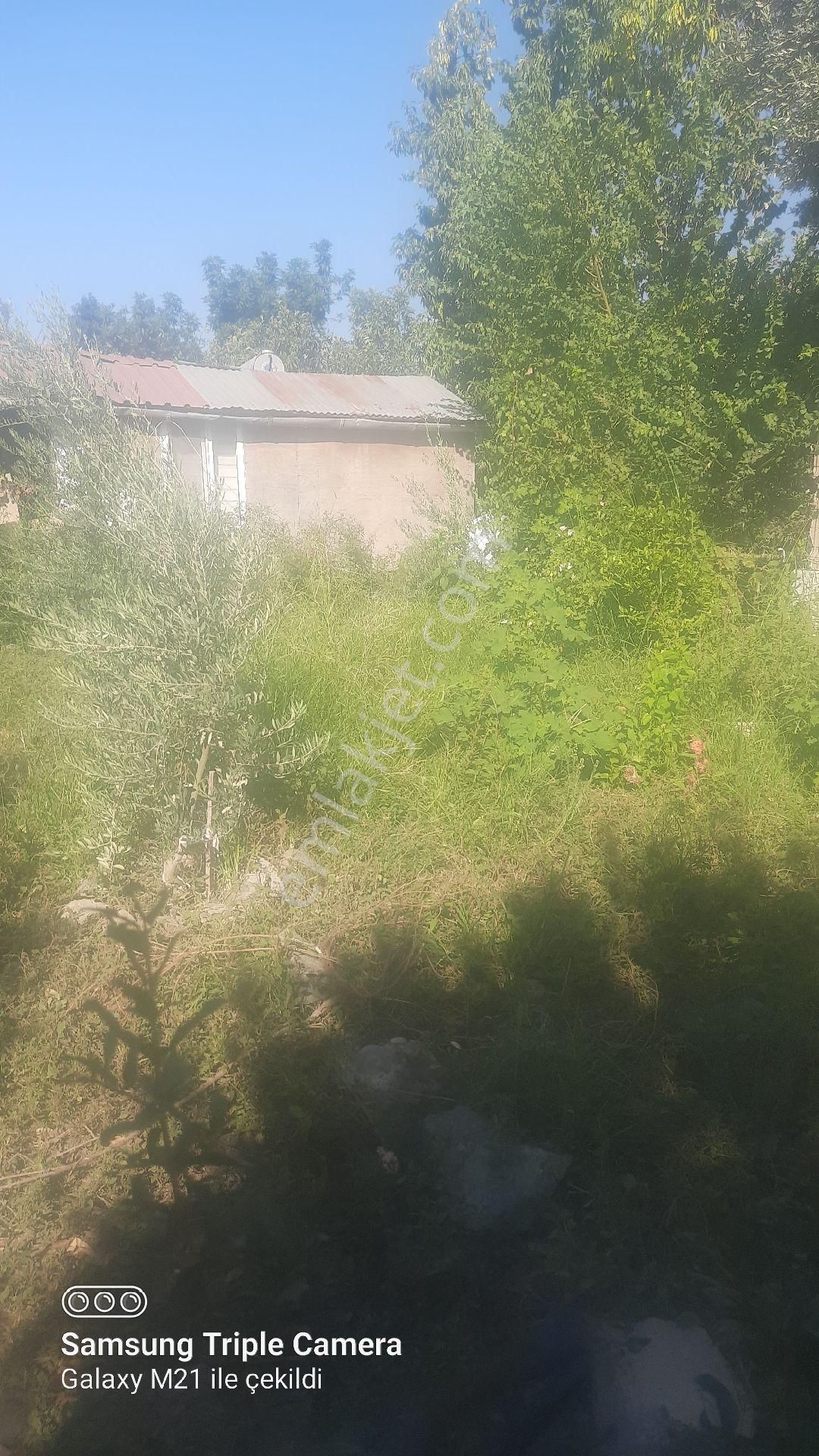 Ortacada Satılık Arsa - Görsel 5