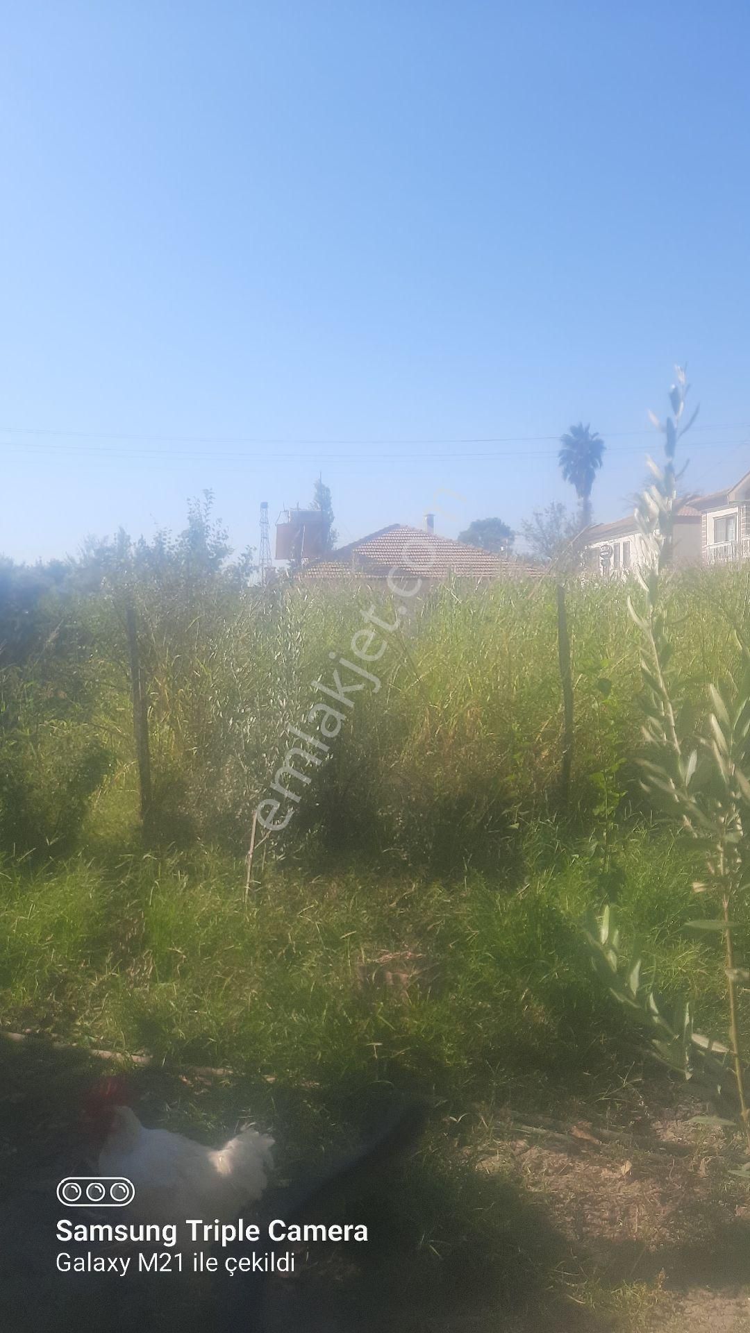 Ortacada Satılık Arsa - Görsel 4