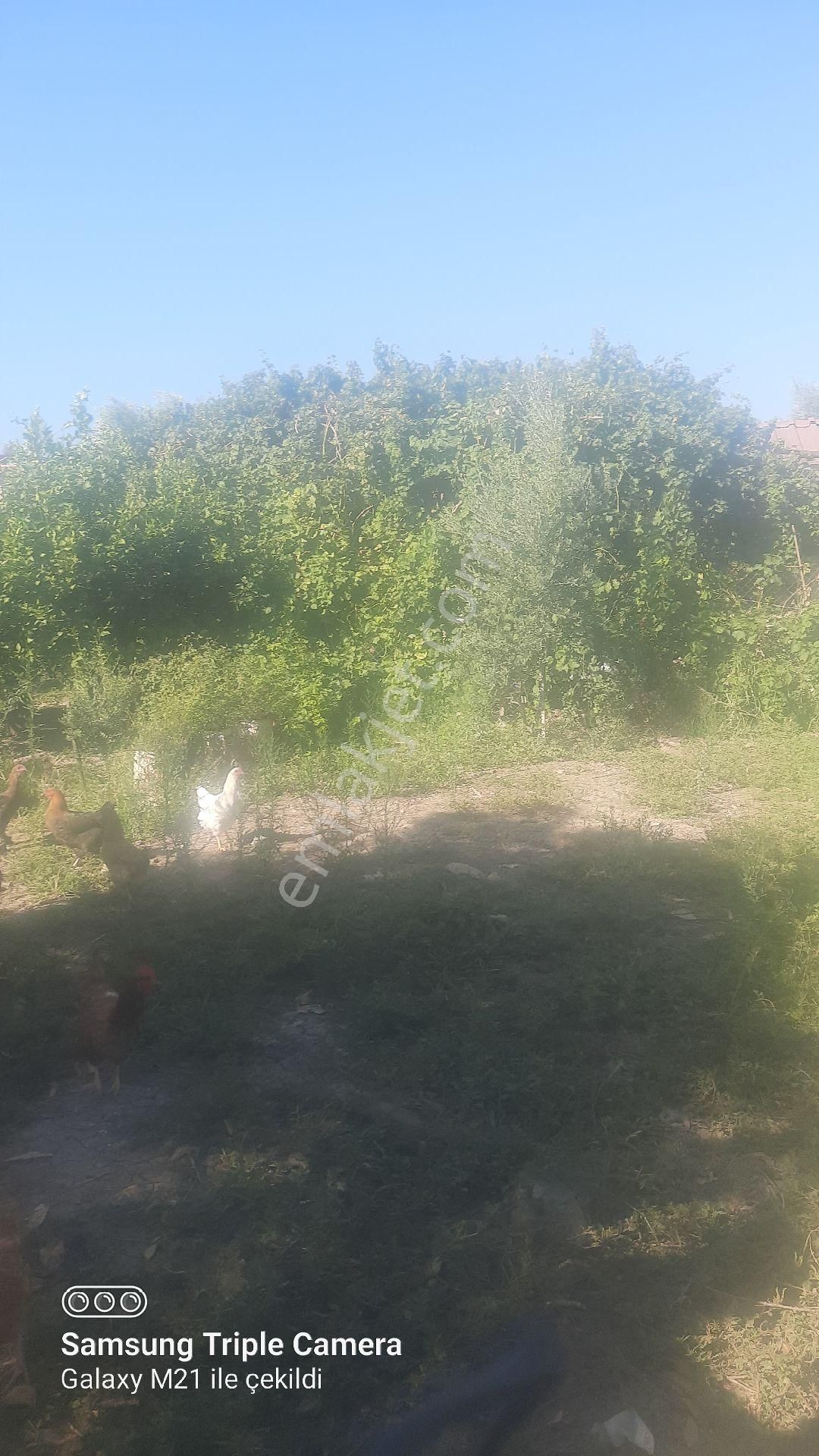 Ortacada Satılık Arsa - Görsel 2