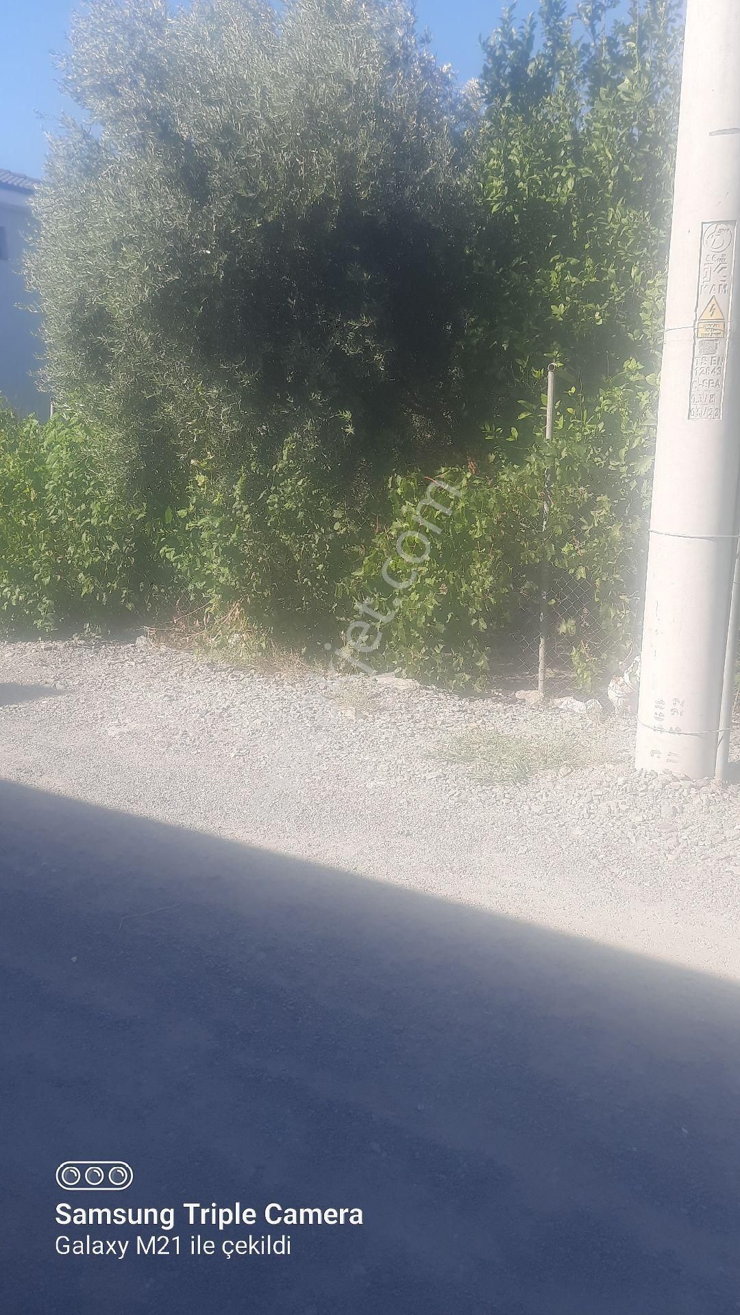 Ortacada Satılık Arsa - Görsel 8