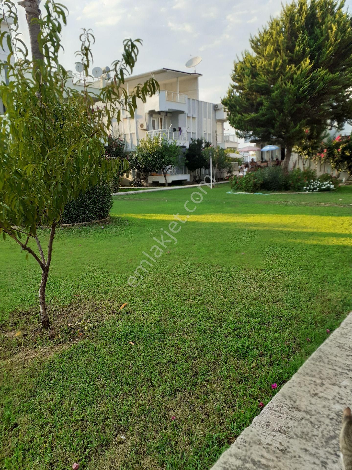 Sahibinden Havuzlu Sitede Trıblexs