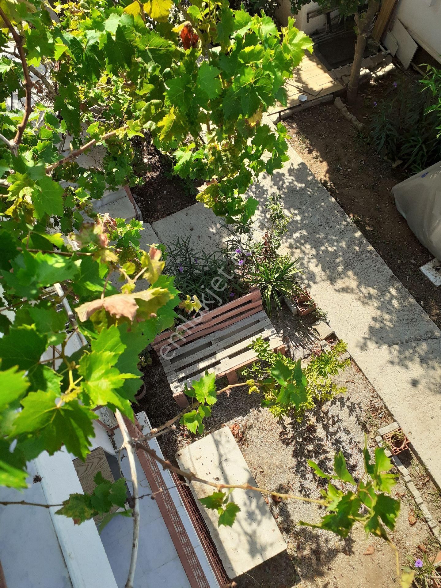 Sahibinden Havuzlu Sitede Trıblexs - Görsel 4