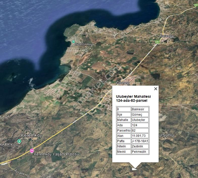Century21 Bal'dan Balıkesir Gömeç’te Satılık Zeytinlik - Görsel 14