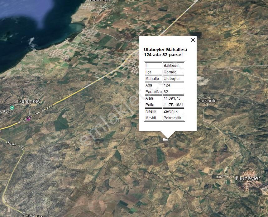 Century21 Bal'dan Balıkesir Gömeç’te Satılık Zeytinlik - Görsel 13