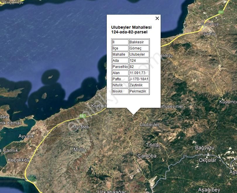 Century21 Bal'dan Balıkesir Gömeç’te Satılık Zeytinlik - Görsel 15