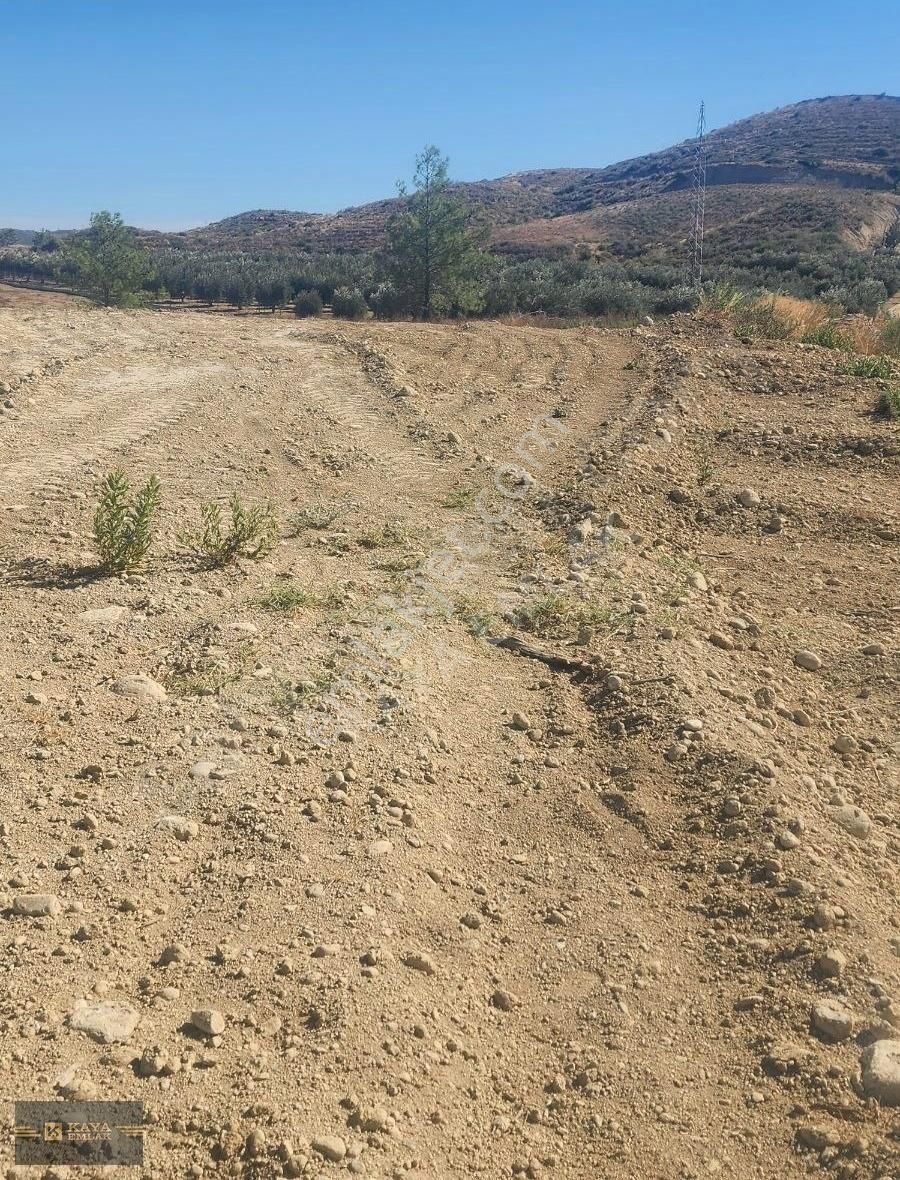 Oymapınar Seki De 4 Dönüm Tarla Satılık Kaya Emlak - Görsel 5