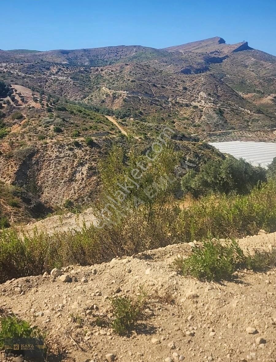 Oymapınar Seki De 4 Dönüm Tarla Satılık Kaya Emlak - Görsel 9