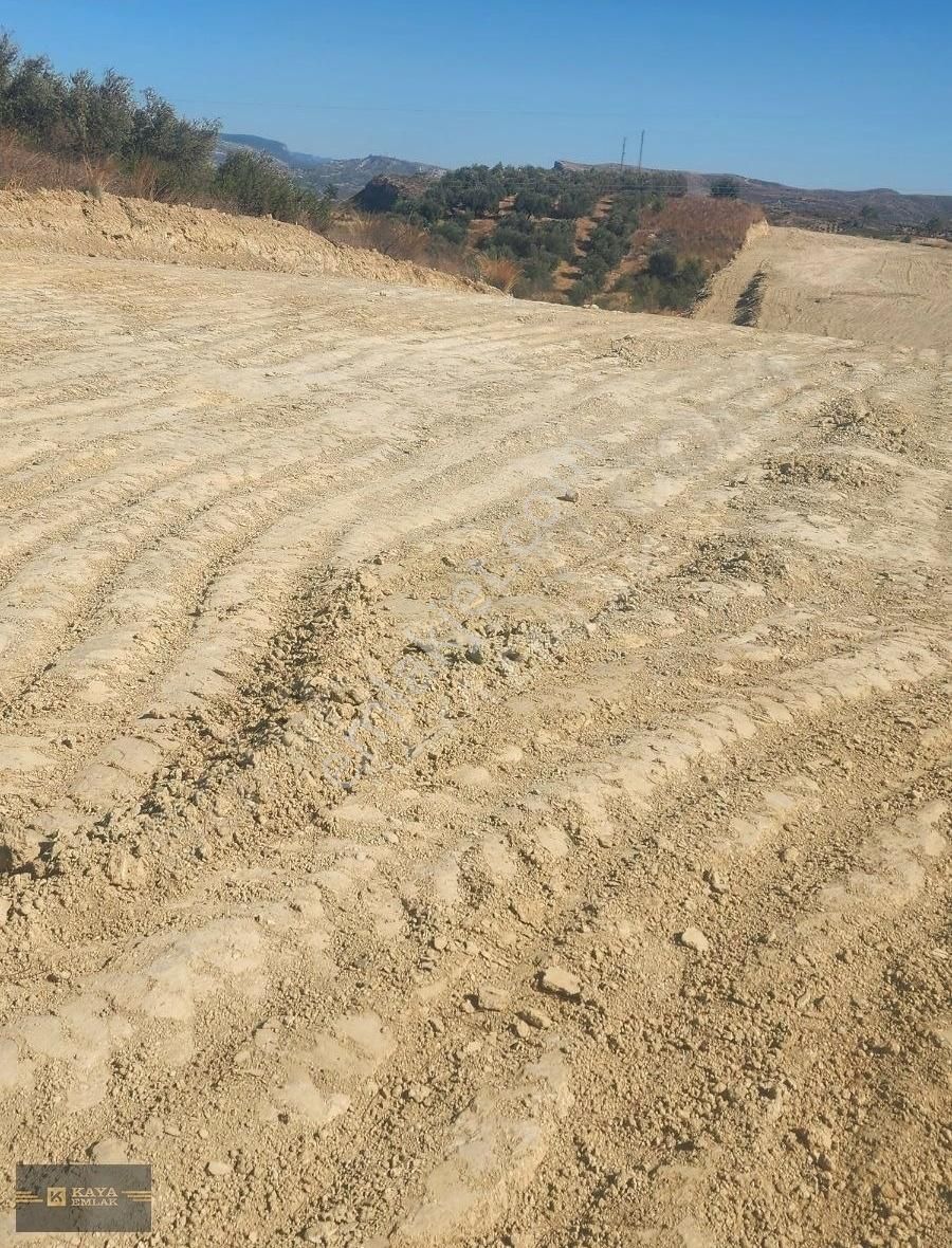 Oymapınar Seki De 4 Dönüm Tarla Satılık Kaya Emlak - Görsel 2