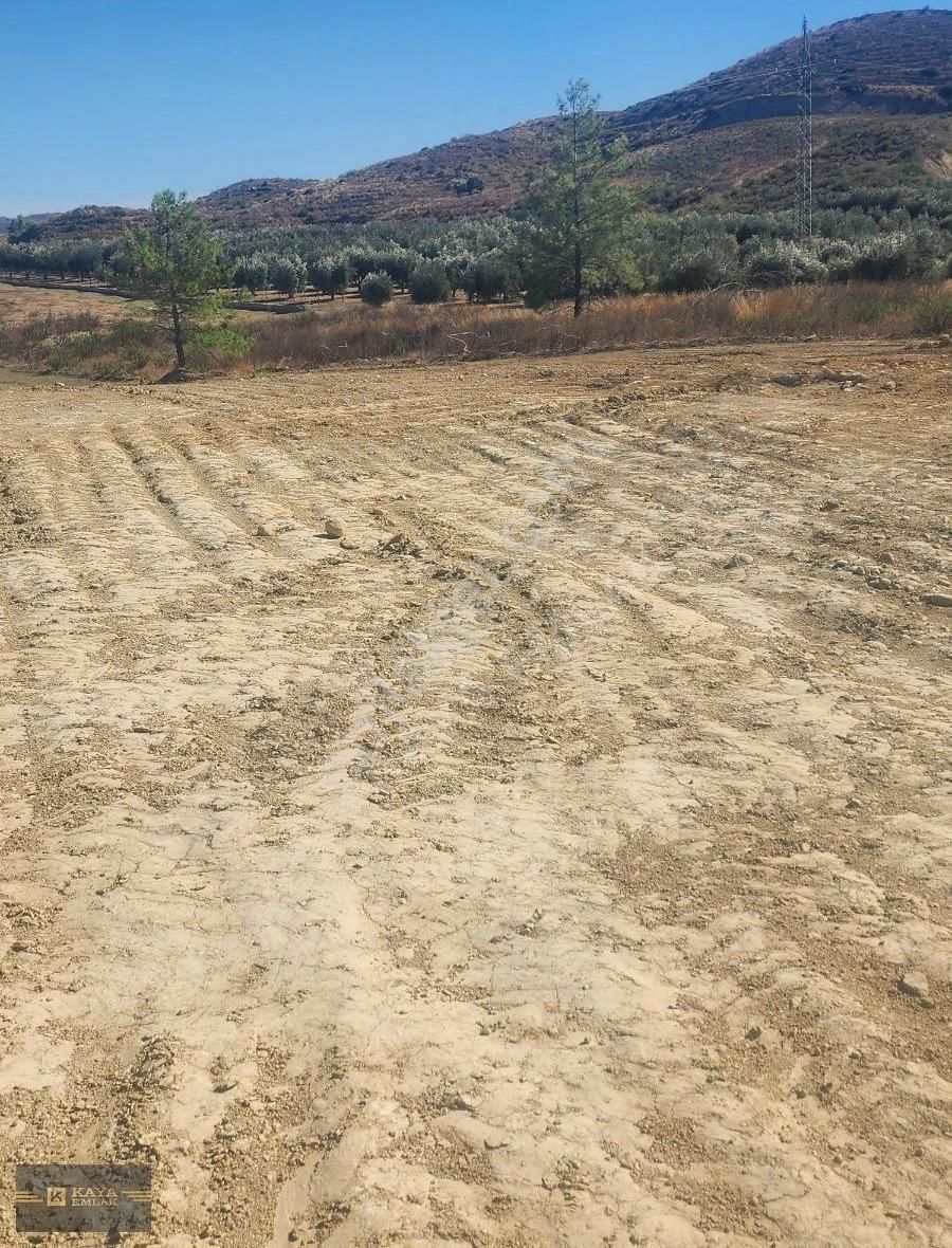 Oymapınar Seki De 4 Dönüm Tarla Satılık Kaya Emlak - Görsel 7