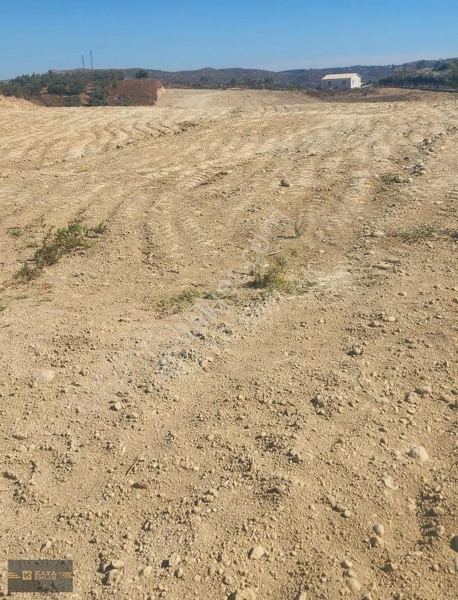 Oymapınar Seki De 4 Dönüm Tarla Satılık Kaya Emlak - Görsel 3