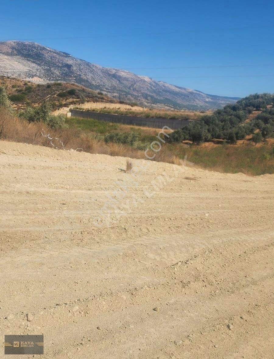 Oymapınar Seki De 4 Dönüm Tarla Satılık Kaya Emlak - Görsel 4