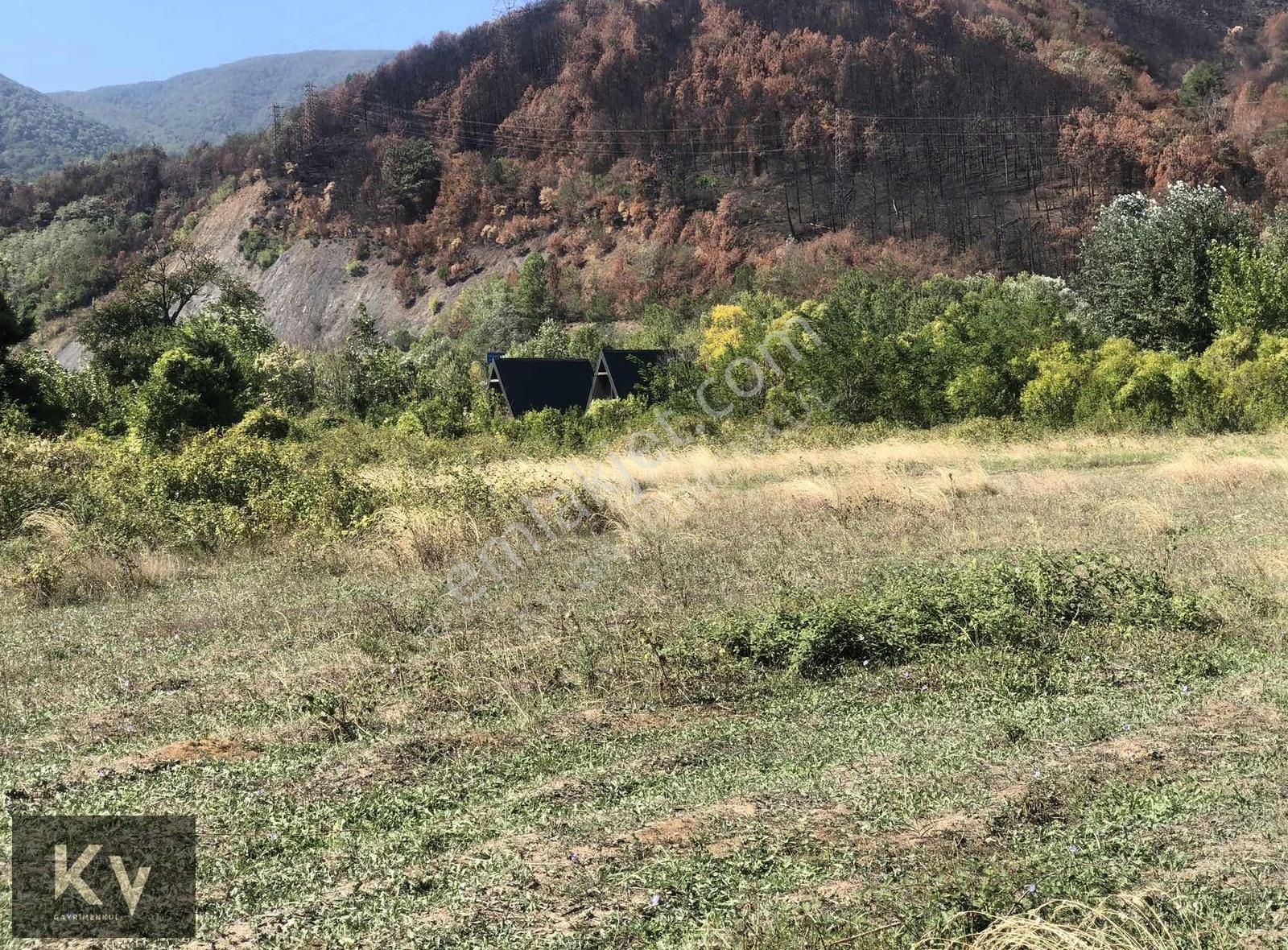 Kv Gayrimenkul'den Doğançay Sakarya Nehri Kenarı Satılık Arazi - Görsel 6