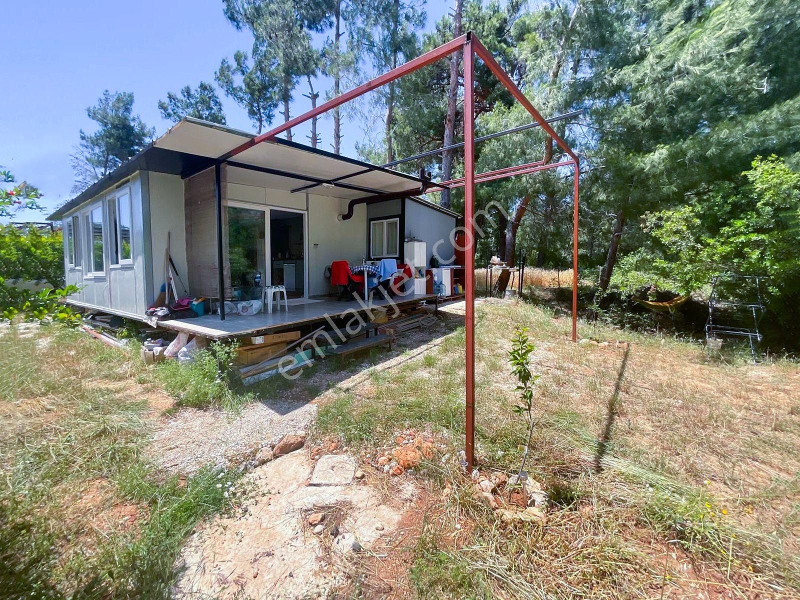 Goldhouse Dan Satılık Seydikemer De Nar Bahçesi Ve Eşyalı 2+1 Ev - Görsel 3