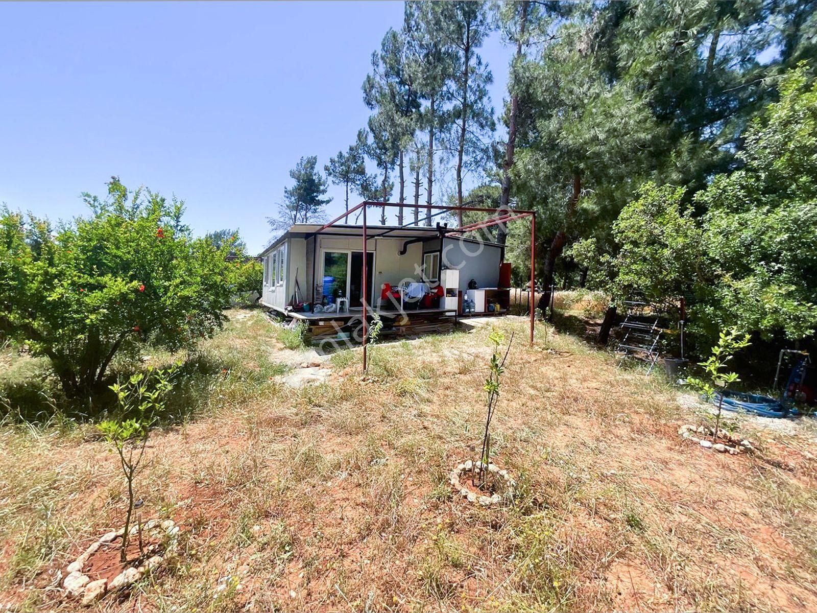 Goldhouse Dan Satılık Seydikemer De Nar Bahçesi Ve Eşyalı 2+1 Ev - Görsel 4