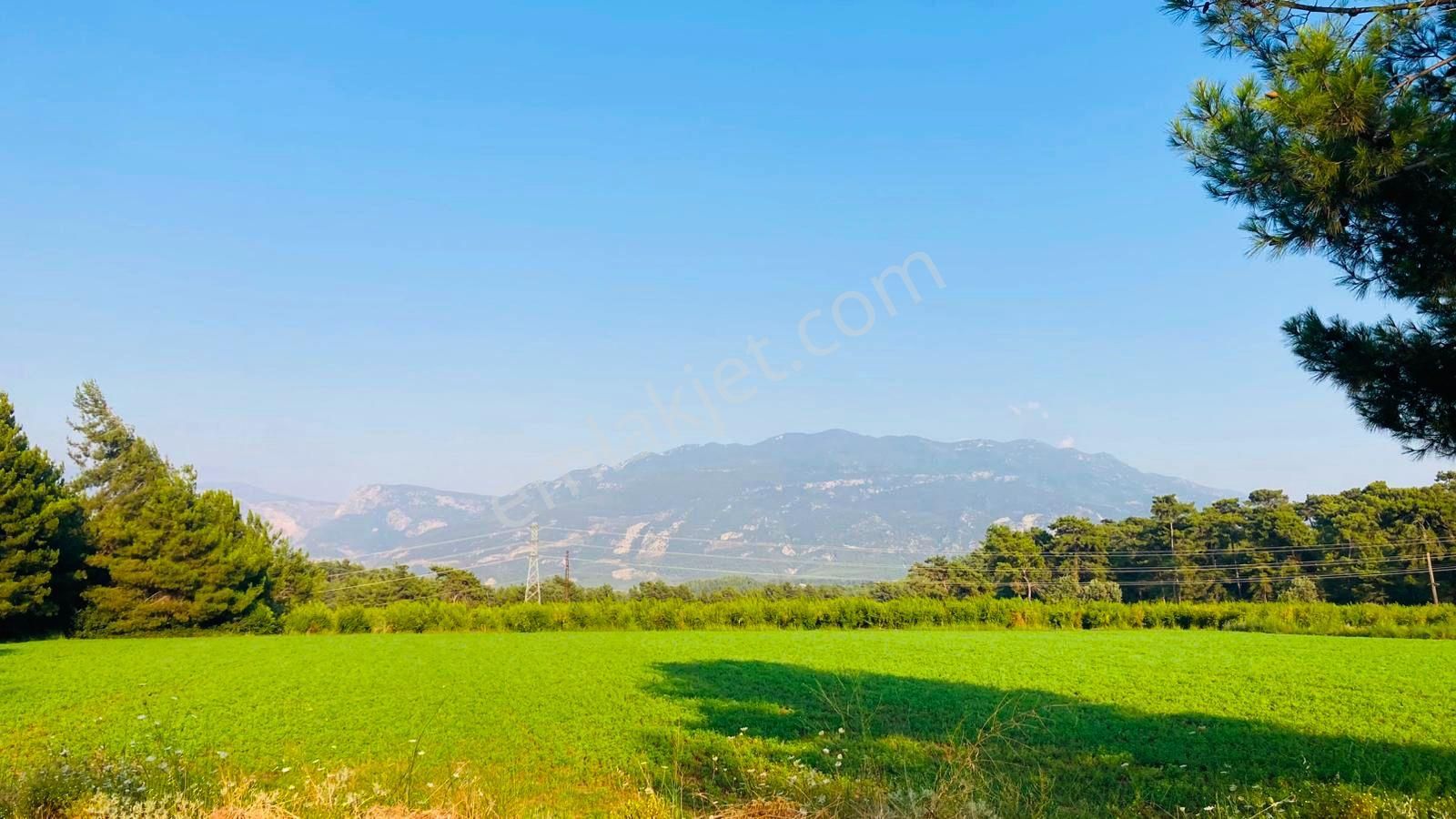 Goldhouse Dan Satılık Seydikemer De Nar Bahçesi Ve Eşyalı 2+1 Ev