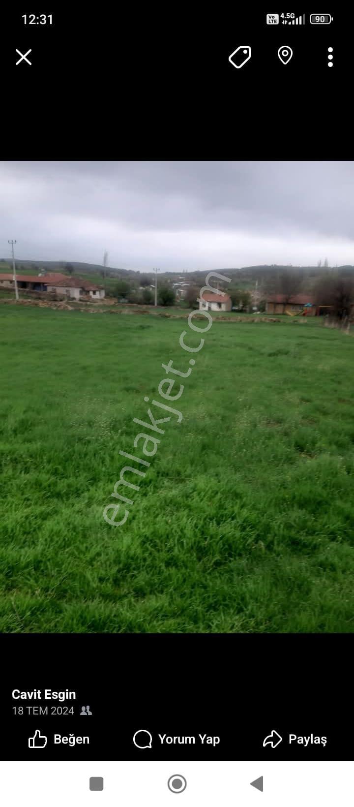 Kütahya Merkez Sünnetyenice Satılık Tarla - Görsel 3