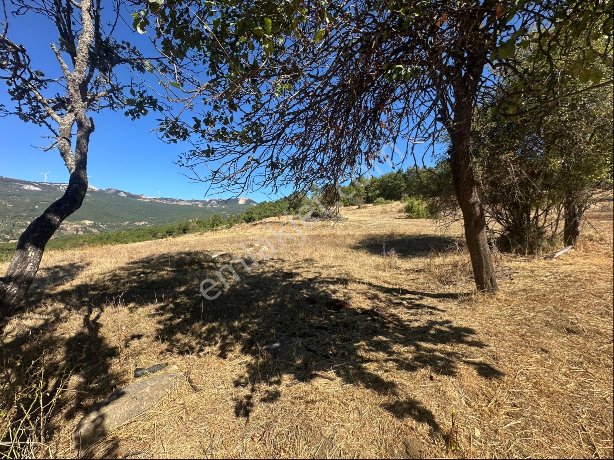 Köy Merkezine Yakın Mesafede 1.540 M2 Yatırımlık Tarla - Görsel 24