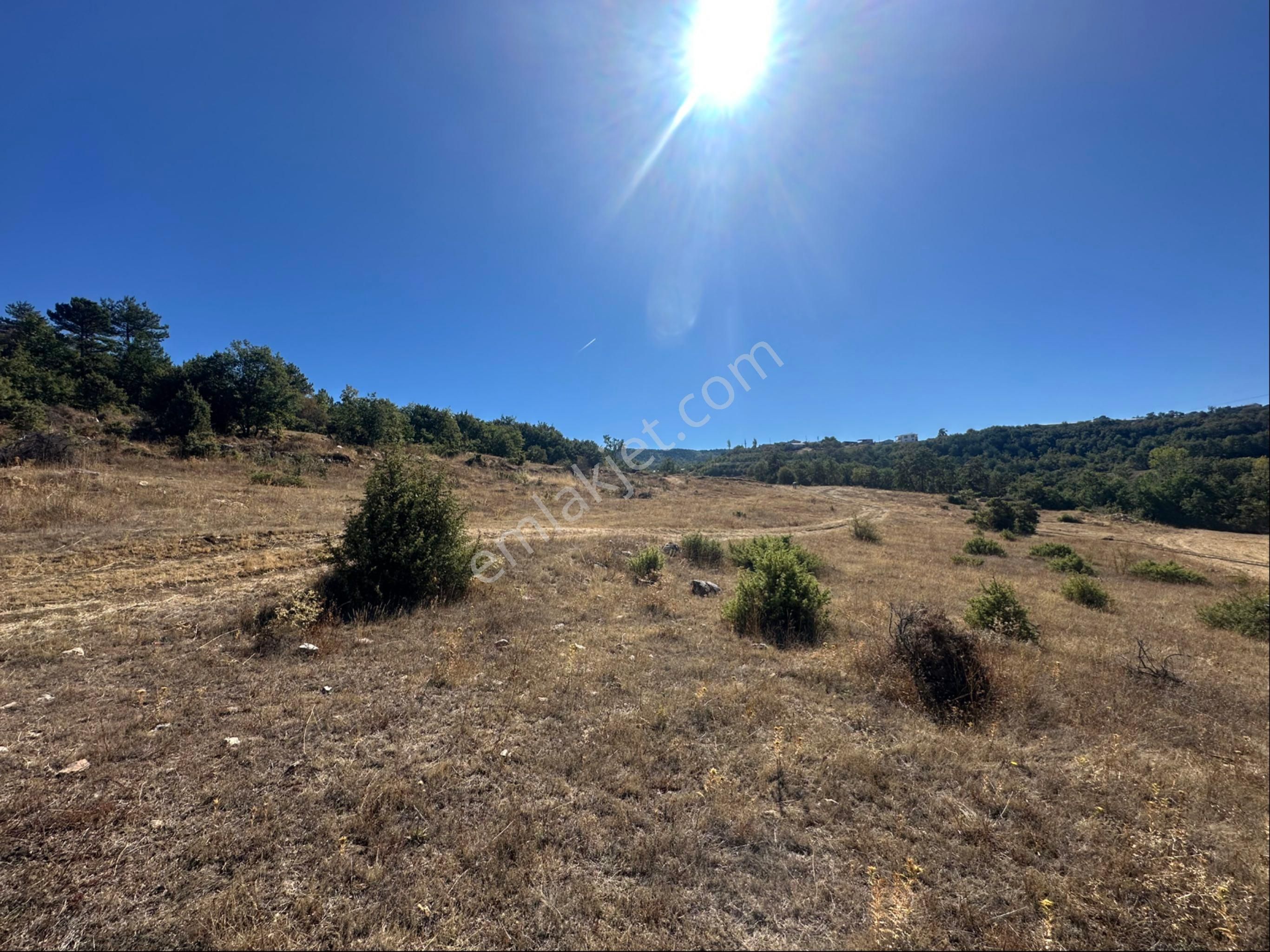 Köy Merkezine Yakın Mesafede 1.540 M2 Yatırımlık Tarla - Görsel 20