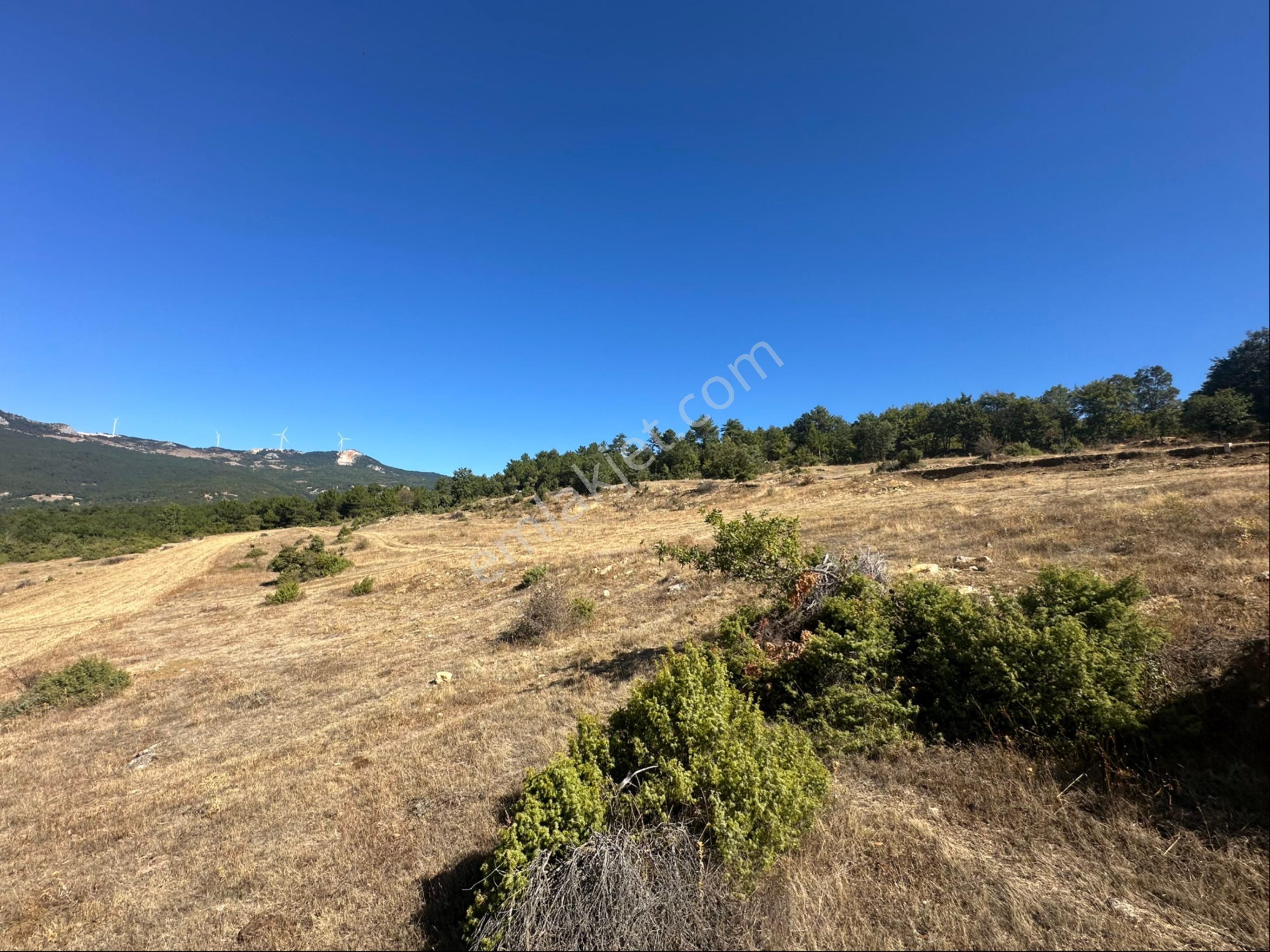 Köy Merkezine Yakın Mesafede 1.540 M2 Yatırımlık Tarla - Görsel 14