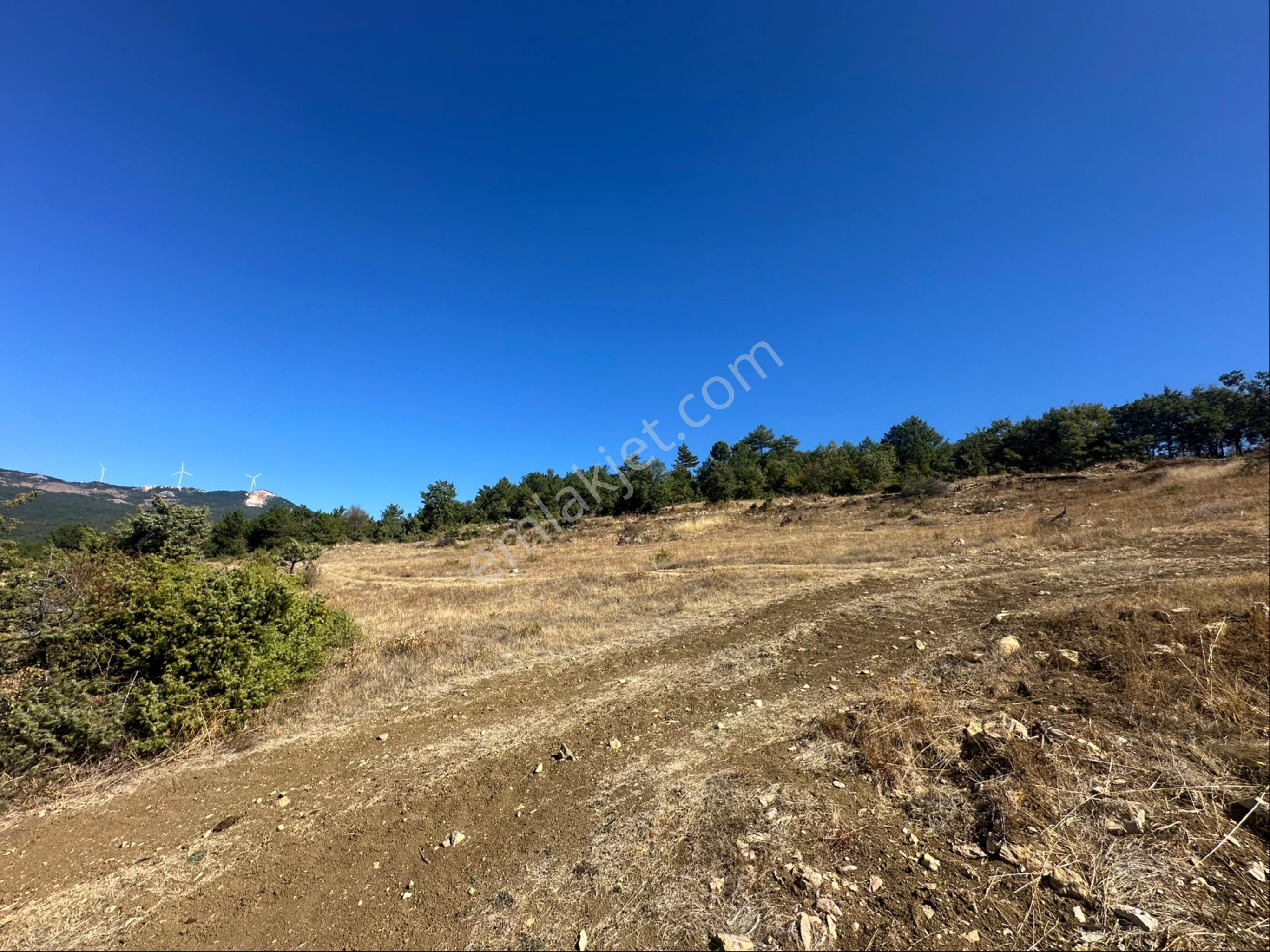 İçdedeler Köyünde İmar Alanına Yakın Mesafede 2.230 M2 Tarla - Görsel 18