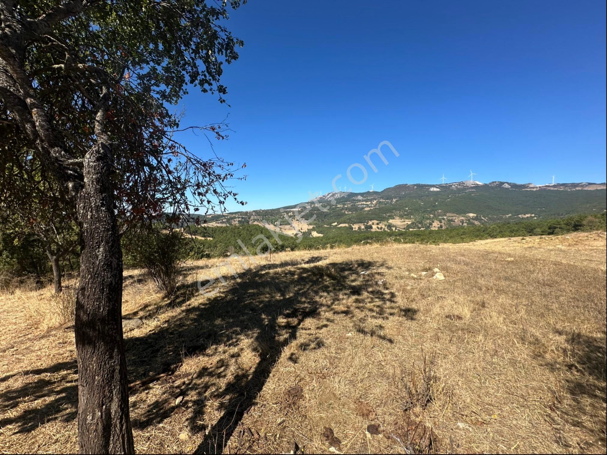 İçdedeler Köyünde İmar Alanına Yakın Mesafede 2.230 M2 Tarla - Görsel 2