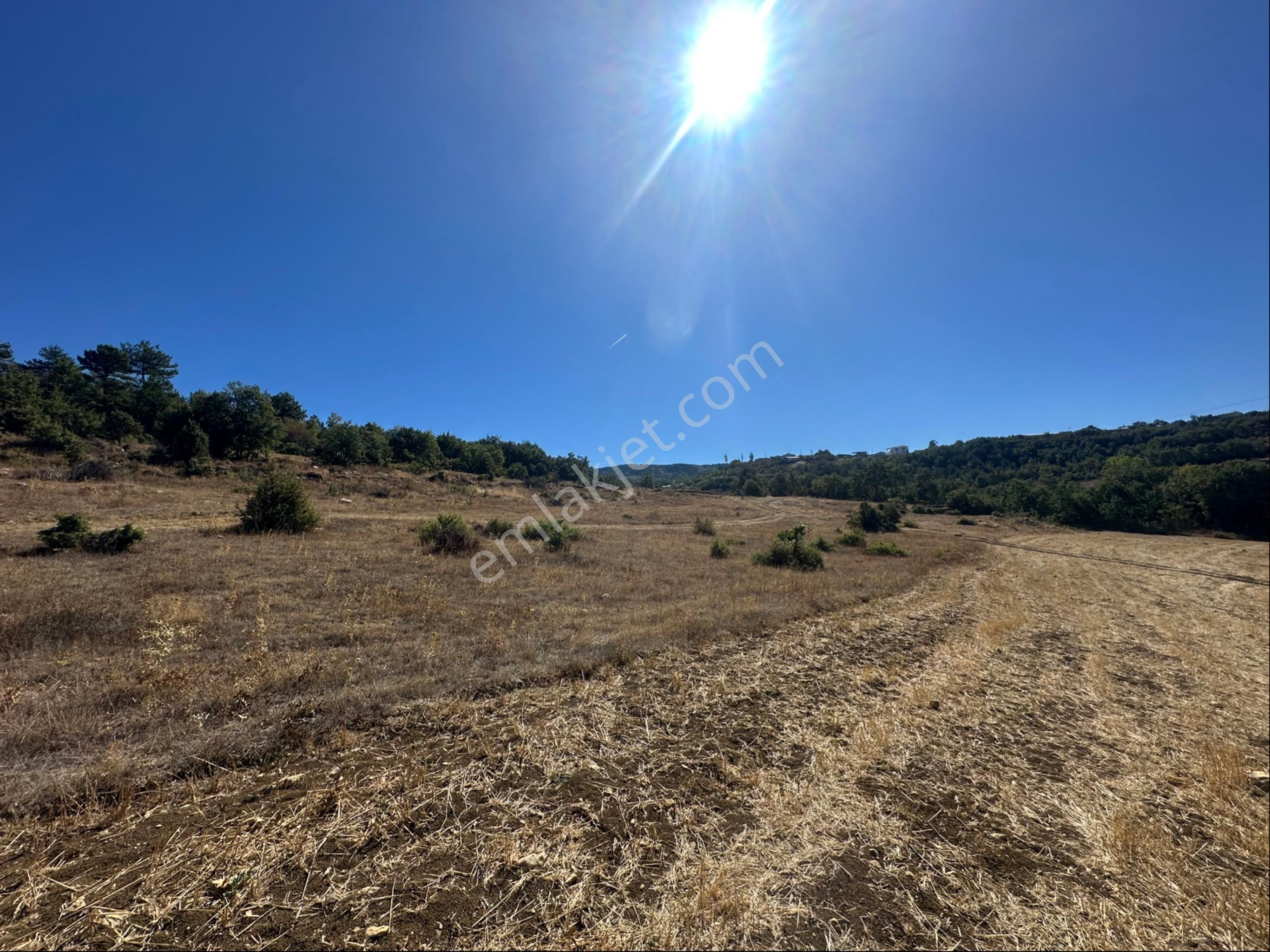 İçdedeler Köyünde İmar Alanına Yakın Mesafede 2.230 M2 Tarla - Görsel 27