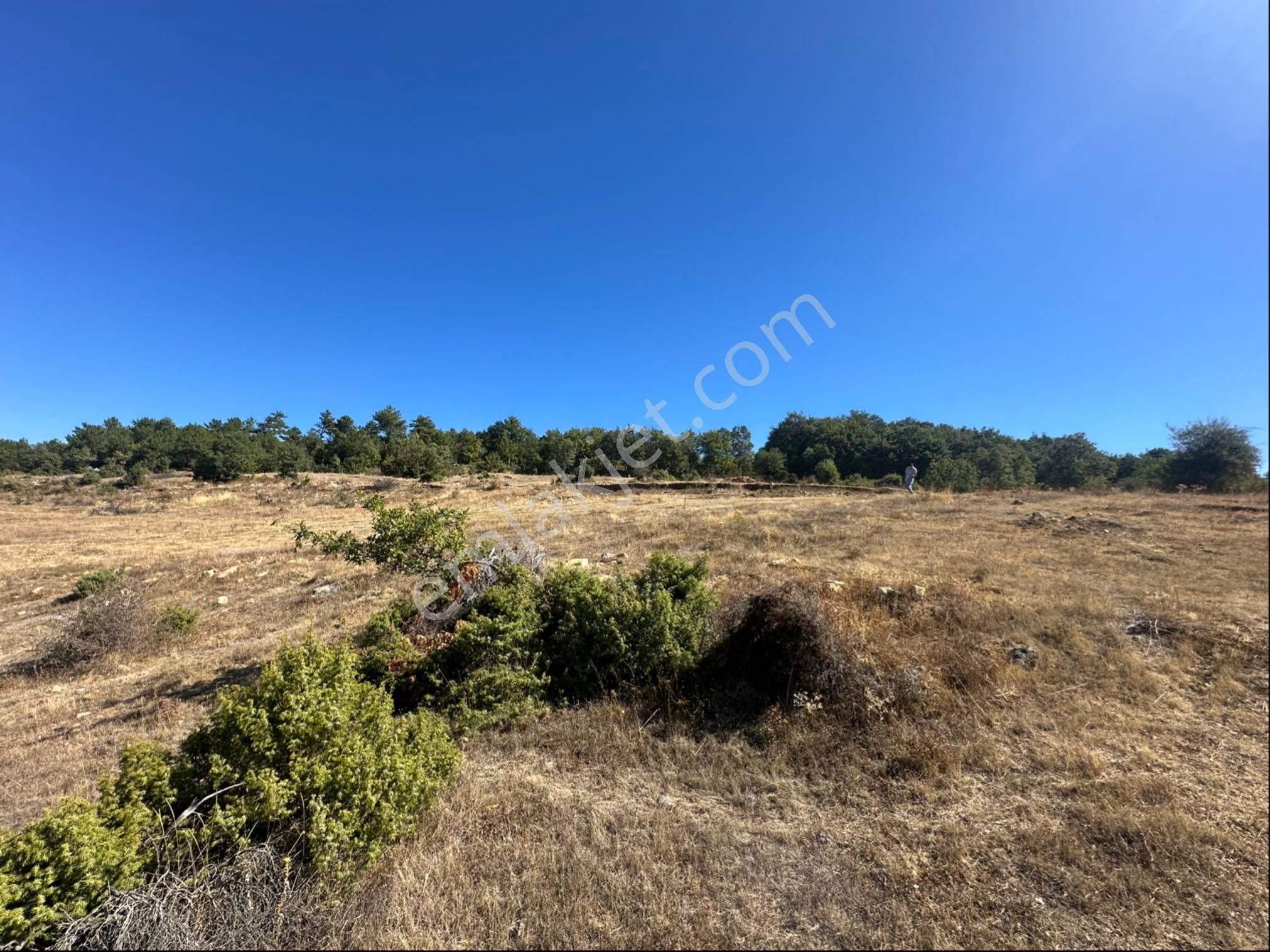 İçdedeler Köyünde İmar Alanına Yakın Mesafede 2.230 M2 Tarla - Görsel 9