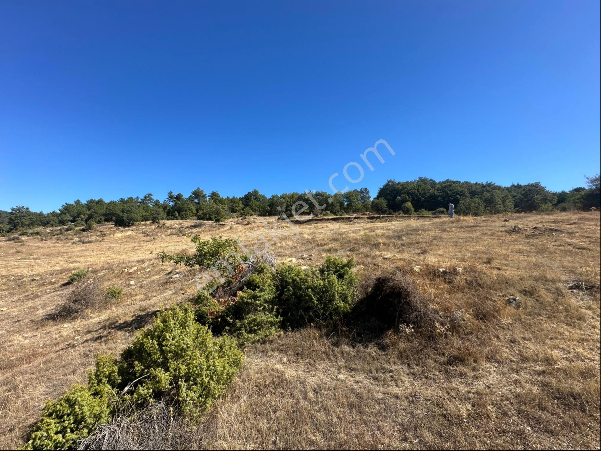 İçdedeler Köyünde İmar Alanına Yakın Mesafede 2.230 M2 Tarla - Görsel 7