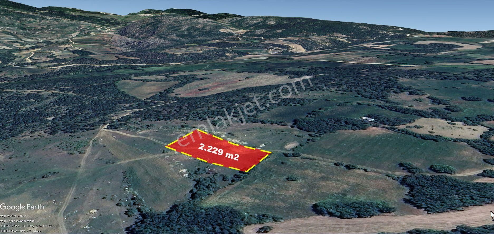 İçdedeler Köyünde İmar Alanına Yakın Mesafede 2.230 M2 Tarla - Görsel 6