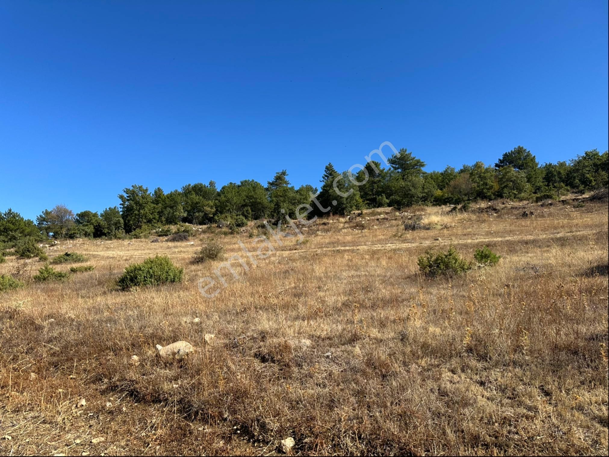 İçdedeler Köyünde İmar Alanına Yakın Mesafede 2.230 M2 Tarla - Görsel 10