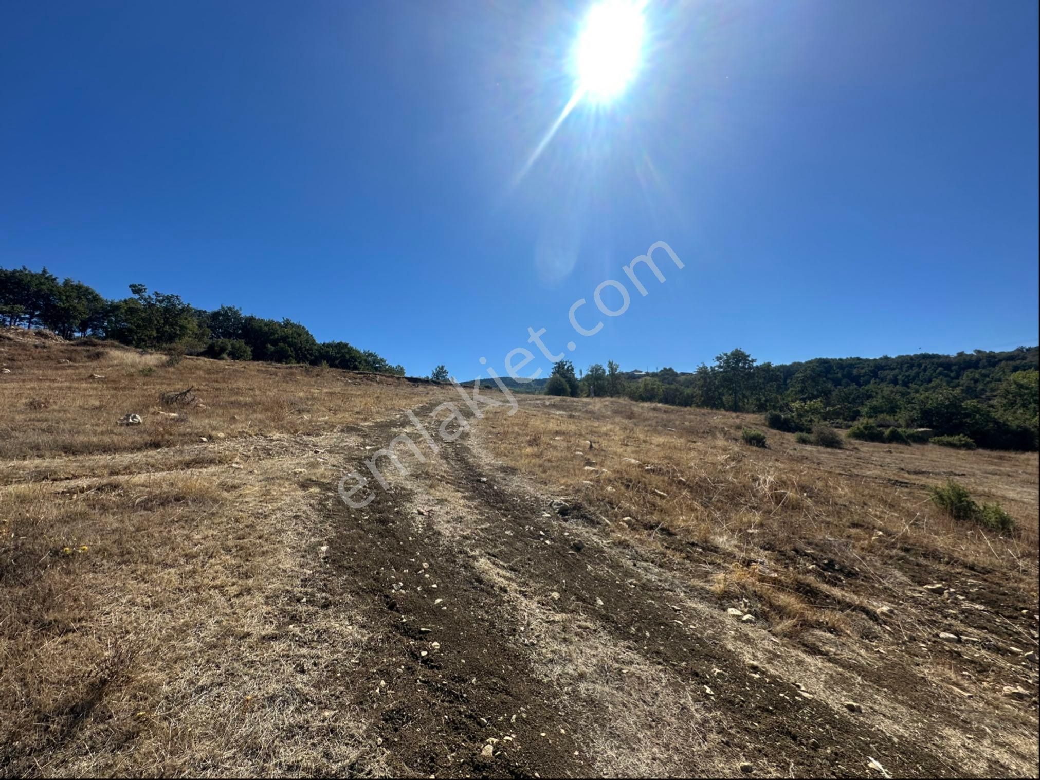 İçdedeler Köyünde İmar Alanına Yakın Mesafede 2.230 M2 Tarla