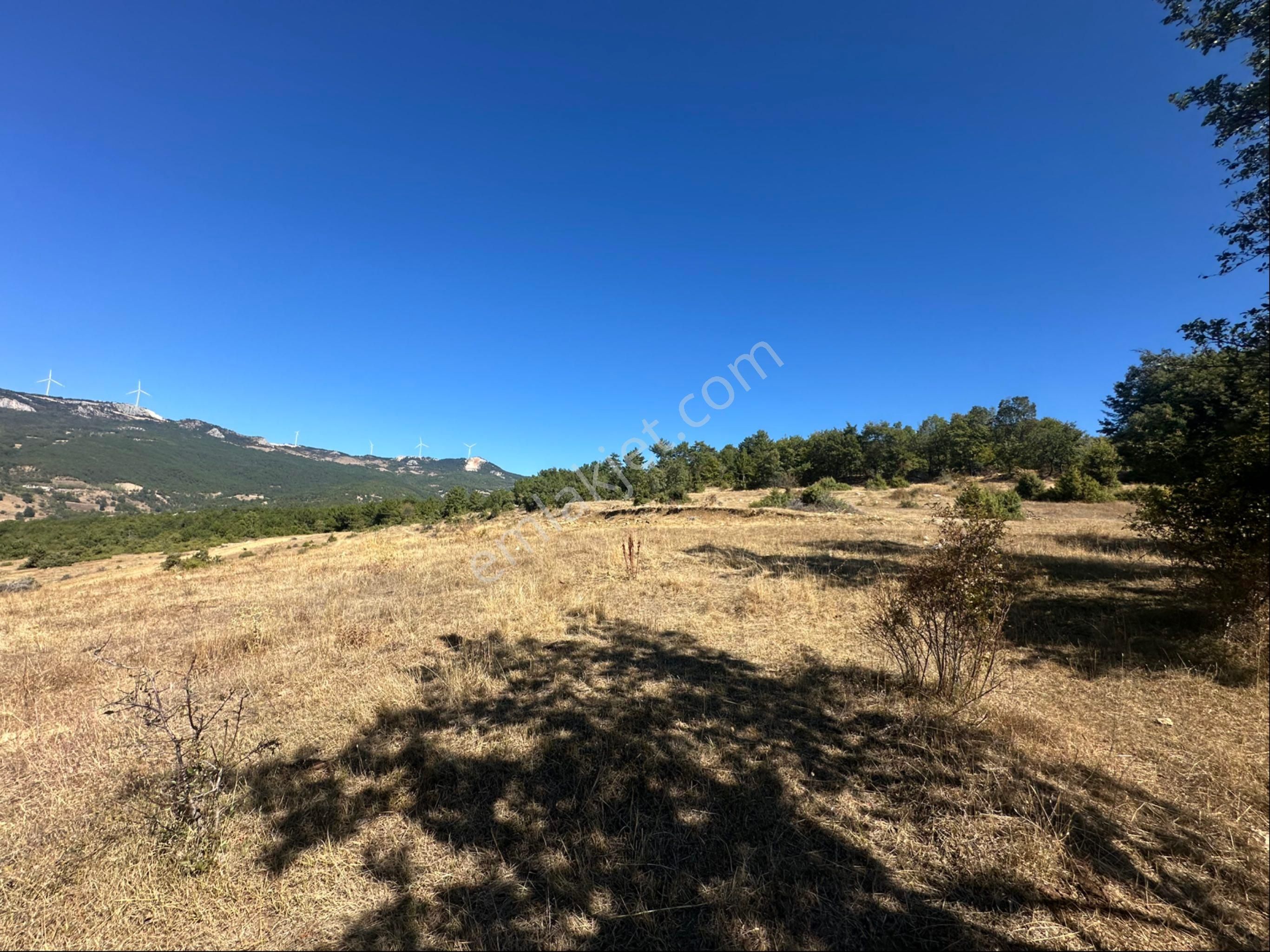 İçdedeler Köyünde İmar Alanına Yakın Mesafede 2.230 M2 Tarla - Görsel 3