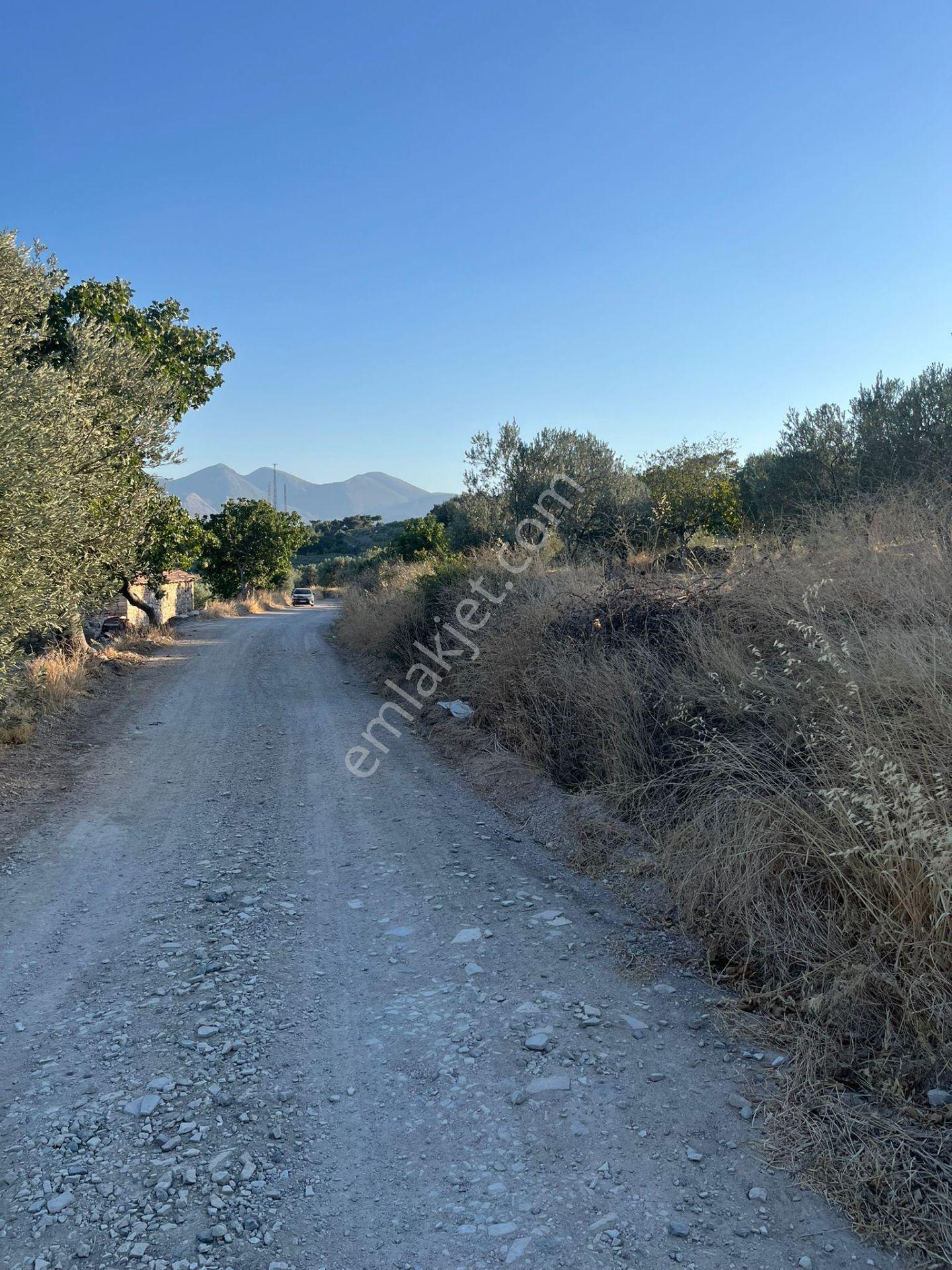 Soma Ümmetoğlu Yatırımlık Tarım Yapmaya Uygun Tarla (10.000 M2 ) - Görsel 3