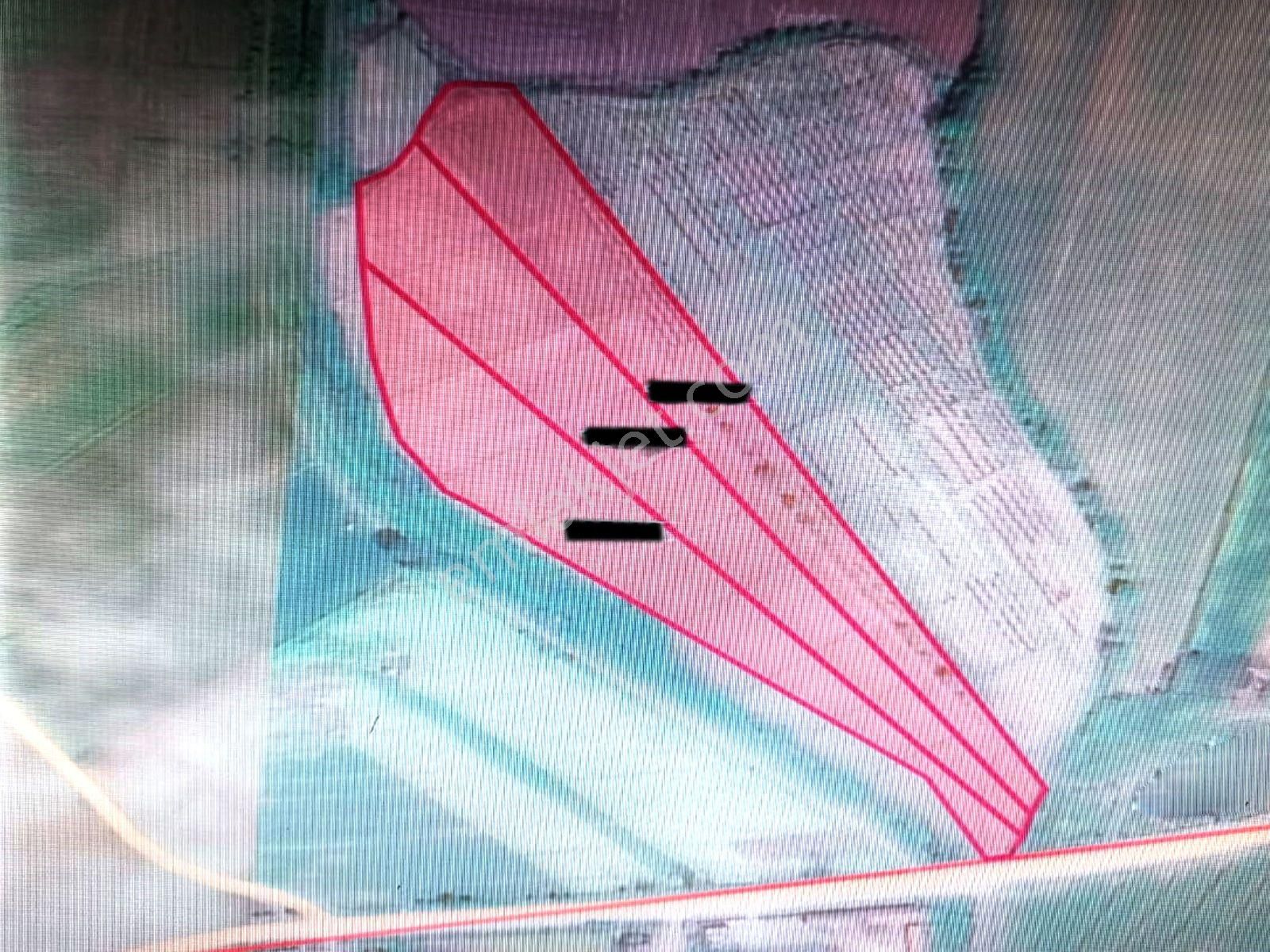 Sarıkaya Mahallesinde Yol Kenarında 40 Dönümlük Arazimiz Satılıktır.. - Görsel 2