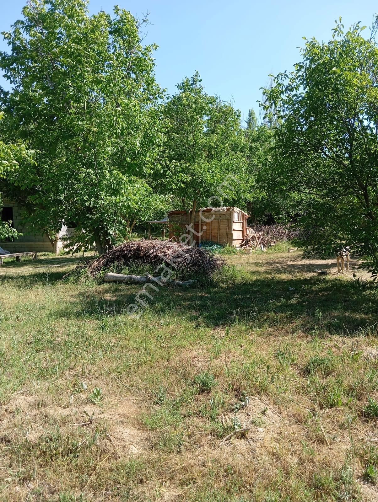 Nasreddin Emlaktan Doğrugözde Satılık Bahçe - Görsel 4