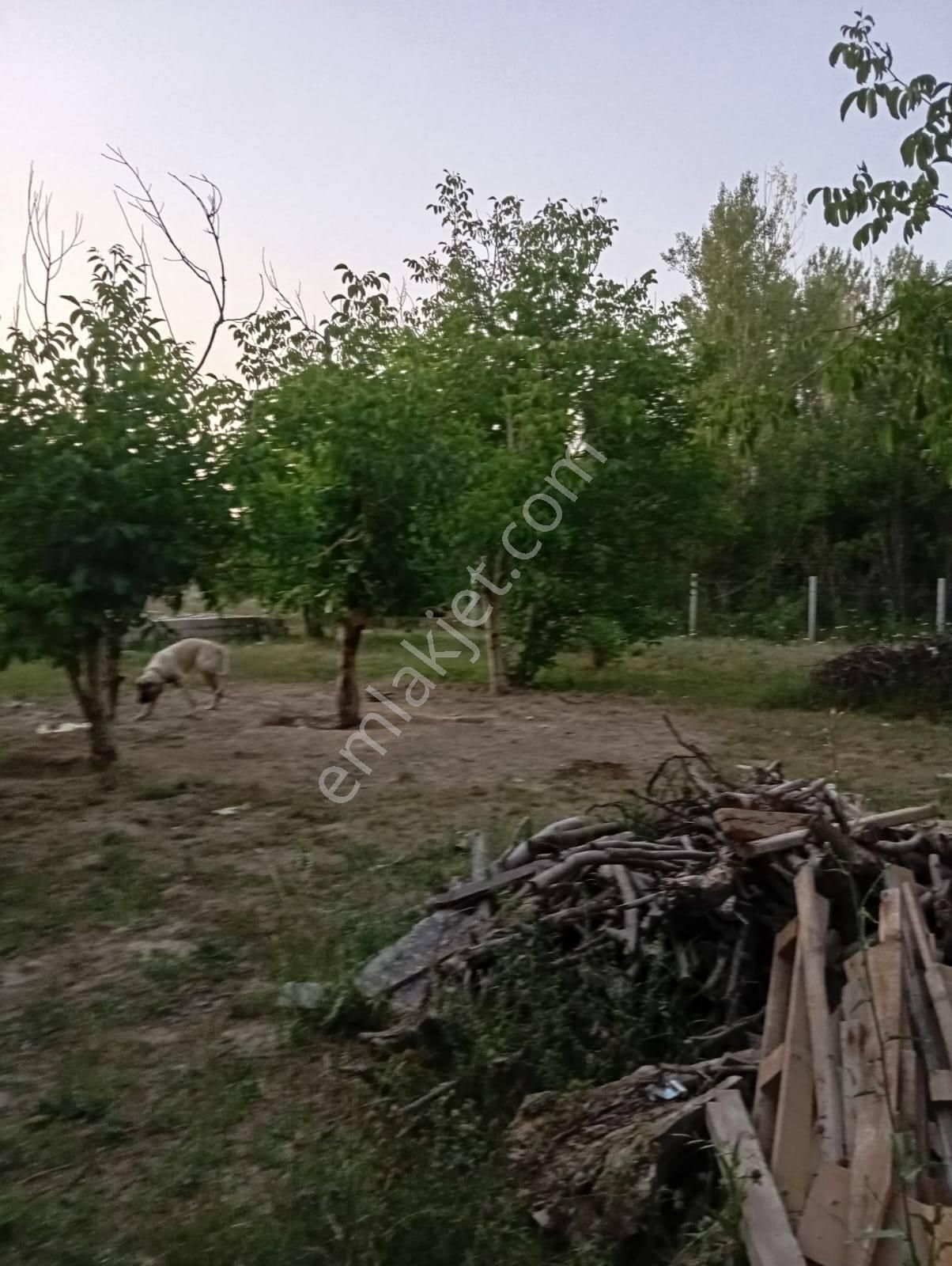 Nasreddin Emlaktan Doğrugözde Satılık Bahçe - Görsel 15