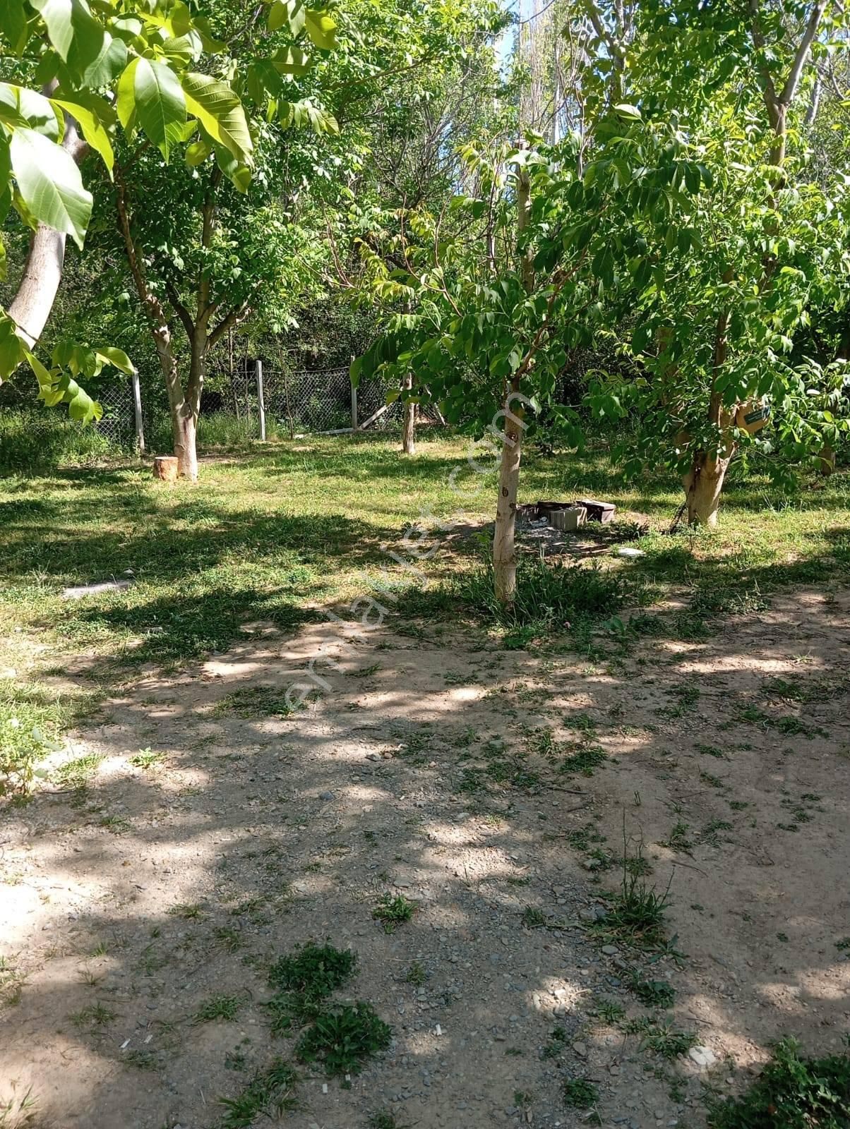 Nasreddin Emlaktan Doğrugözde Satılık Bahçe - Görsel 12