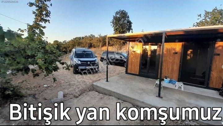 Acil Sakarya Karasu Darıçayırı Fındık Bahçesi 2032 M2 Fırsat Yeri. - Görsel 4