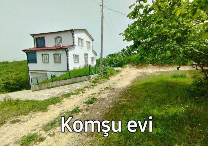 Acil Sakarya Karasu Darıçayırı Fındık Bahçesi 2032 M2 Fırsat Yeri. - Görsel 10