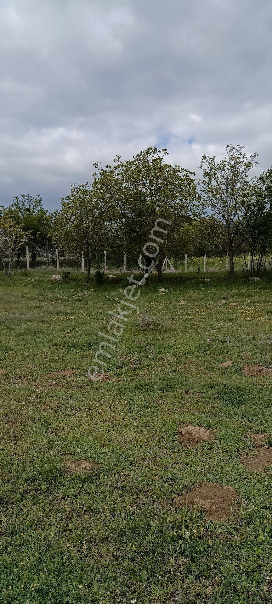 Acıpayam Yeşilyuva Konut İmarlı Satılık Arsa - Görsel 13