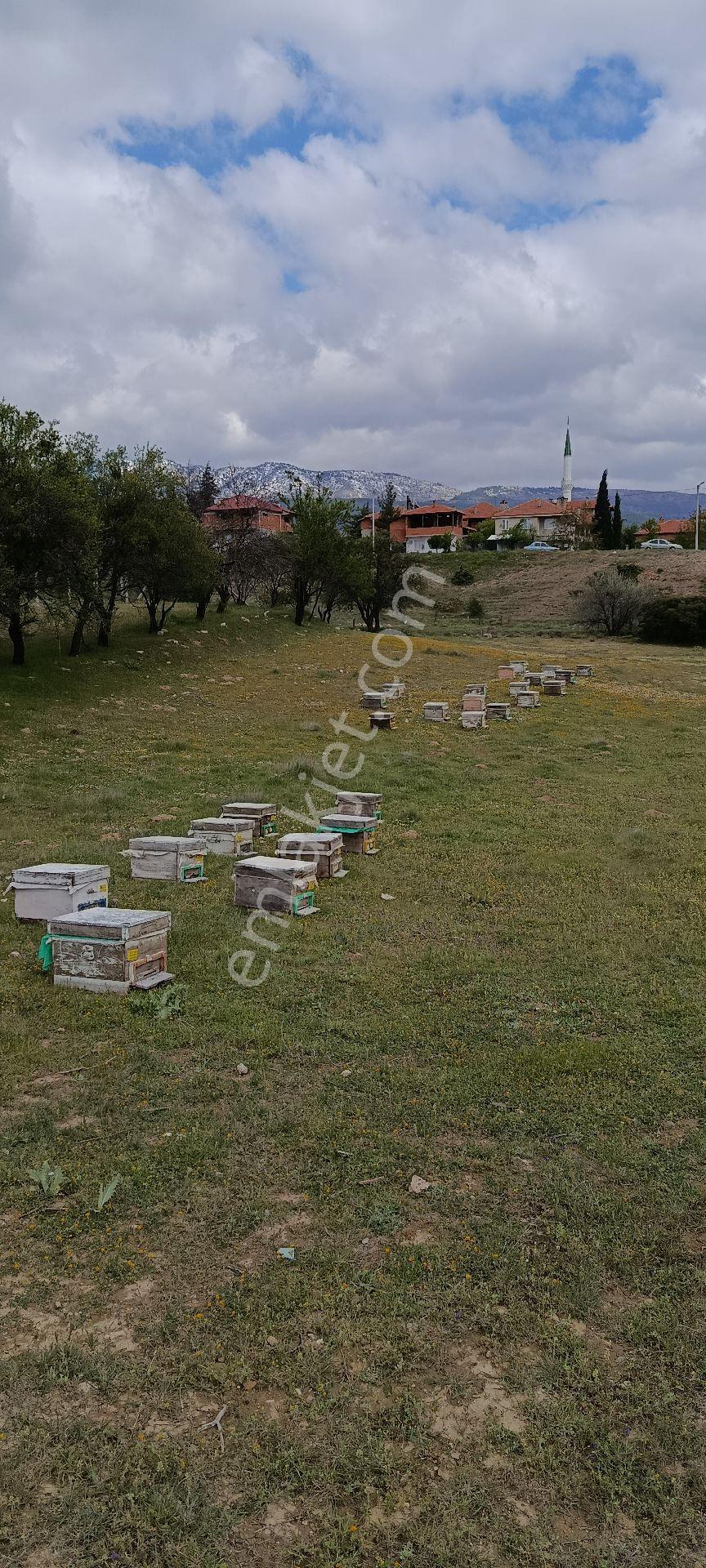 Acıpayam Yeşilyuva Konut İmarlı Satılık Arsa - Görsel 17