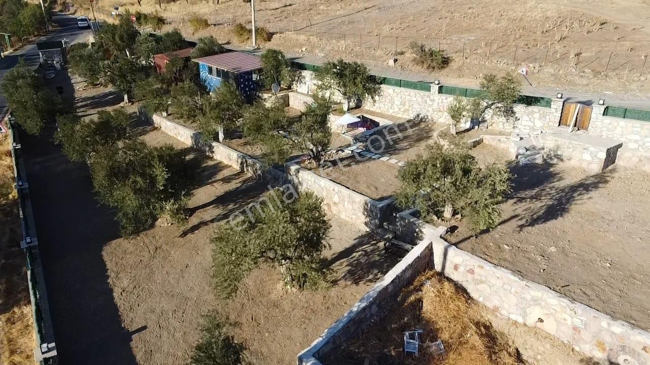 Ön Emlak'tan Burhaniye Bahadınlı Köyünde Satılık 1.400 M2 Hobi Bahçesi Zeytinlik! - Görsel 6
