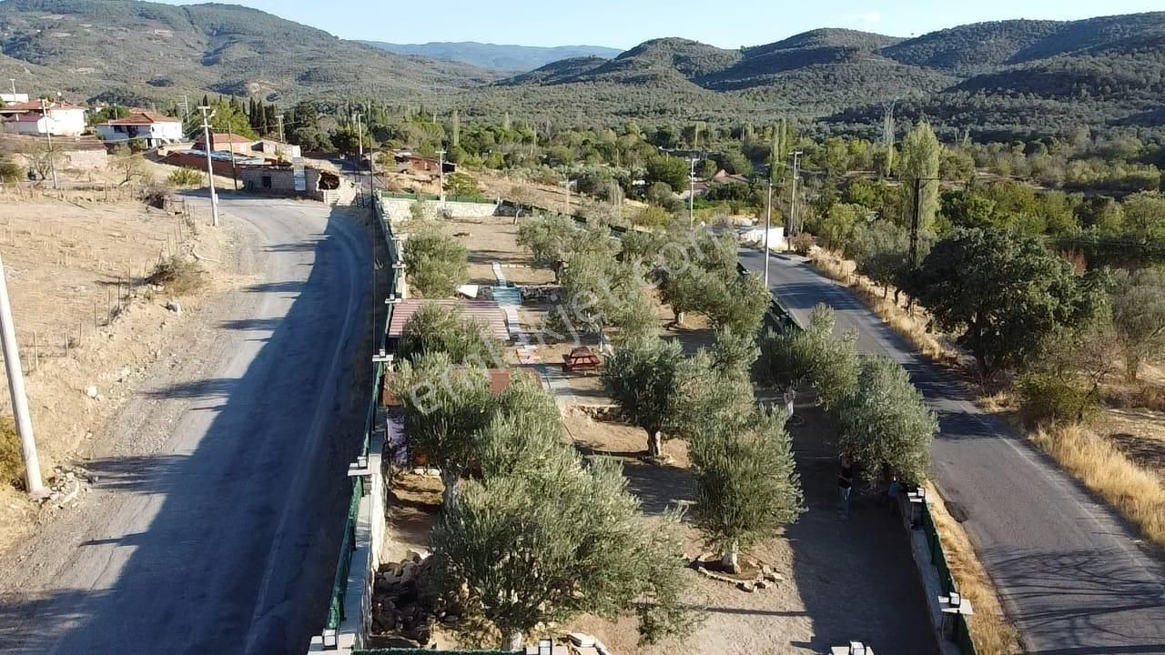Ön Emlak'tan Burhaniye Bahadınlı Köyünde Satılık 1.400 M2 Hobi Bahçesi Zeytinlik! - Görsel 10