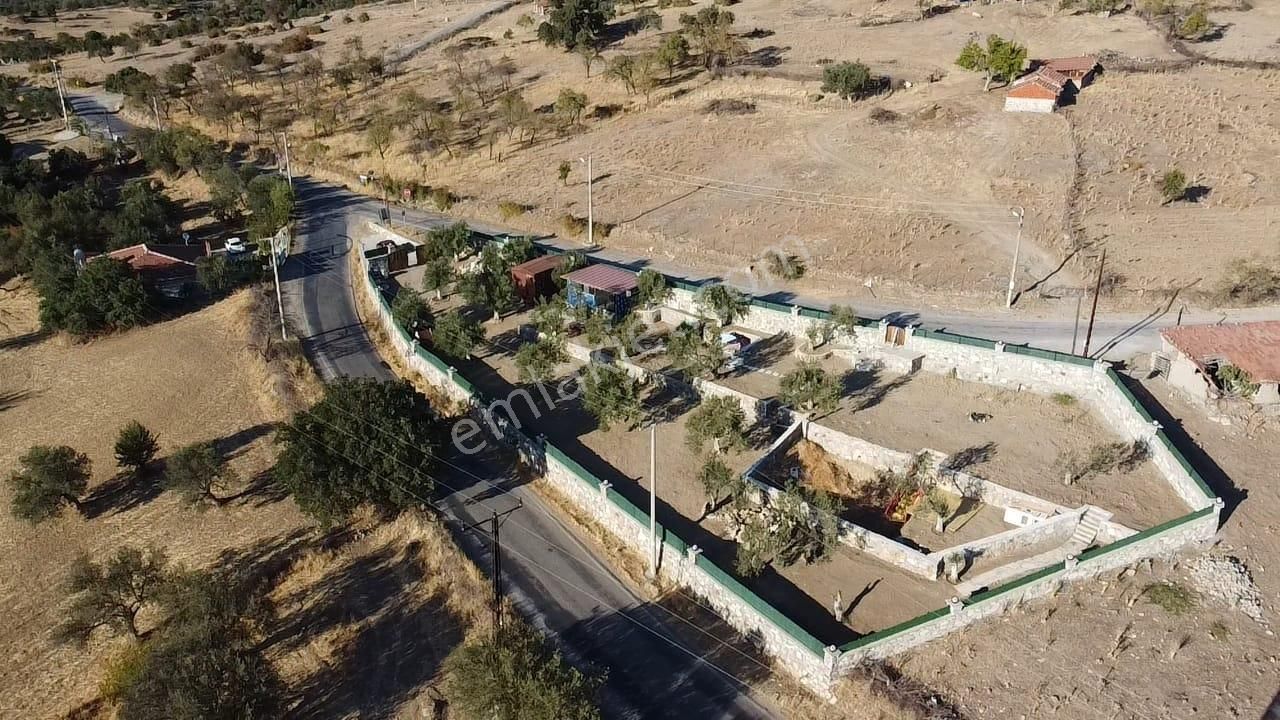 Ön Emlak'tan Burhaniye Bahadınlı Köyünde Satılık 1.400 M2 Hobi Bahçesi Zeytinlik!