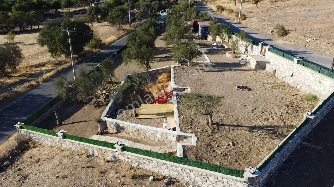 Ön Emlak'tan Burhaniye Bahadınlı Köyünde Satılık 1.400 M2 Hobi Bahçesi Zeytinlik! - Görsel 5