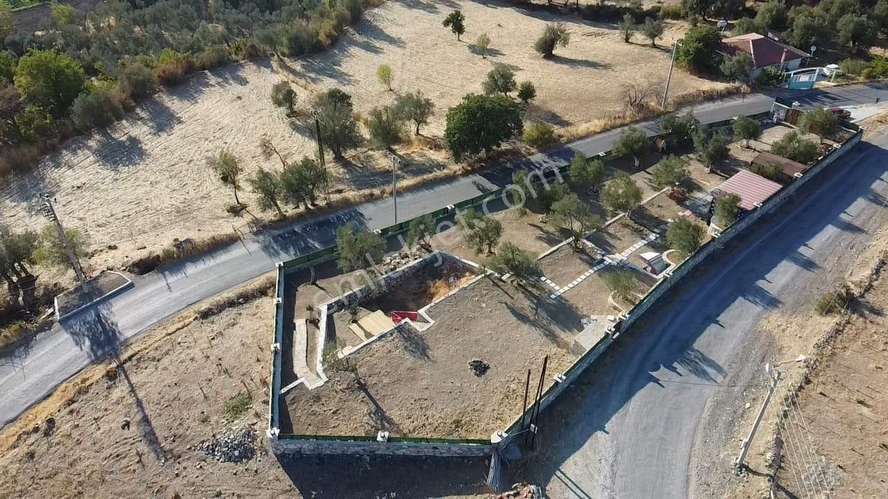 Ön Emlak'tan Burhaniye Bahadınlı Köyünde Satılık 1.400 M2 Hobi Bahçesi Zeytinlik! - Görsel 3