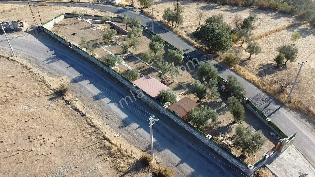Ön Emlak'tan Burhaniye Bahadınlı Köyünde Satılık 1.400 M2 Hobi Bahçesi Zeytinlik! - Görsel 14
