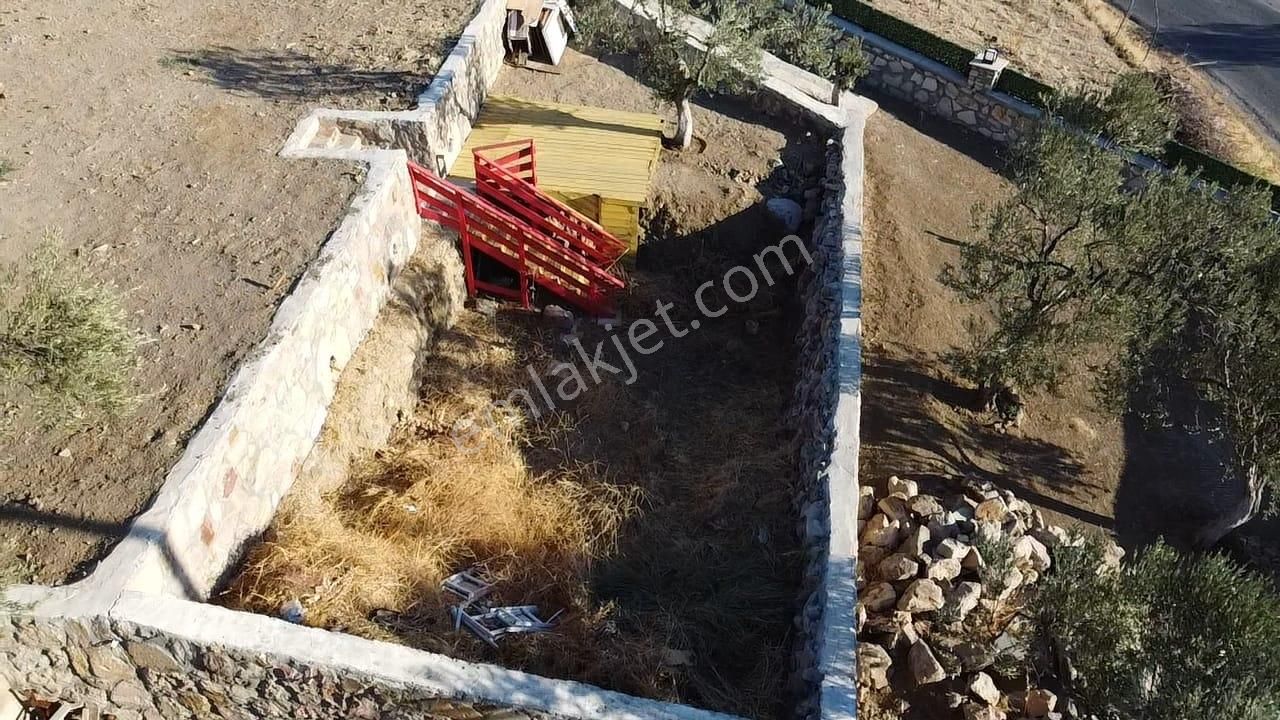 Ön Emlak'tan Burhaniye Bahadınlı Köyünde Satılık 1.400 M2 Hobi Bahçesi Zeytinlik! - Görsel 7