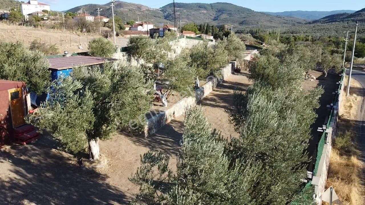 Ön Emlak'tan Burhaniye Bahadınlı Köyünde Satılık 1.400 M2 Hobi Bahçesi Zeytinlik! - Görsel 9